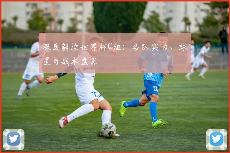 深度解读世界杯C组：各队实力、球星与战术盘点